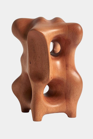 Abstract Art Wood - Unique Carved Wooden Statue