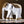 Animal Wood Sculpture #WA094