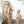 Animal Wood Sculpture #WA089